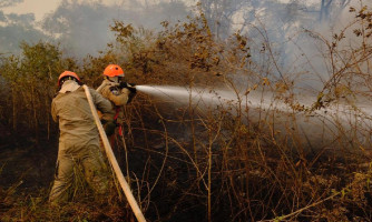 Governo define período proibitivo do uso do fogo em MT