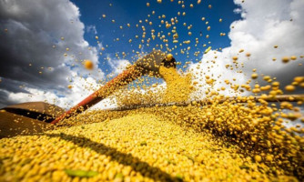 Imea estima alta de 6,91% no valor bruto da produção de Mato Grosso para 2023
