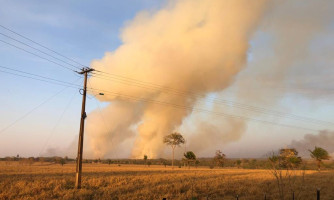 Incêndio atinge canavial de usina em Lambari D’Oeste e assusta moradores. Veja os vídeos: