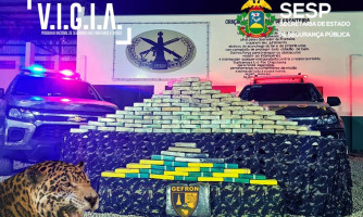 “Mulas humanas” tentam passar com drogas por mata, mas são interceptados pelo Gefron