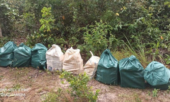 Nas garras do Gefron: Traficantes perdem quase sete milhões em drogas na fronteira