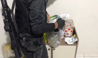 Organização criminosa investigada por tráfico de drogas e lavagem de dinheiro é alvo de operação da PF em Pontes e Lacerda