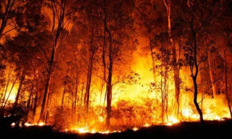 Período proibitivo de queimadas na zona rural é antecipado. Multas podem chegar até 5 mil reais por hectare