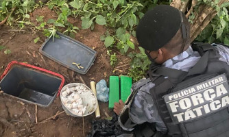 Polícia Militar atua contra tráfico de drogas e prende quadrilha com cocaína e maconha em Nova Lacerda