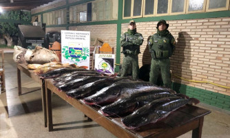 Quase 100 kg de pescado são apreendidos em Cáceres