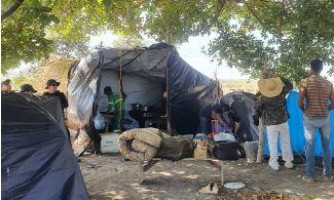 Seis homens e uma mulher são resgatados de trabalho análogo à escravidão, em Vila Bela
