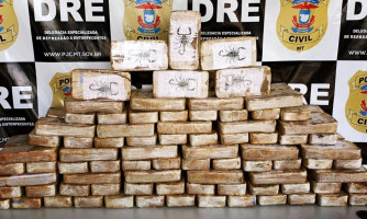 Tráfico de drogas: mais de 100 tabletes de cocaína são apreendidos em Campo Novo