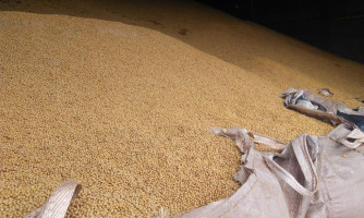 Urgente: pessoa soterrada em silo de soja em Vila Bela; Bombeiros em deslocamento
