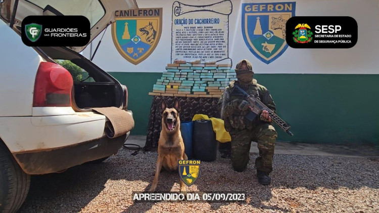 Gefron da prejuízo de mais de 1 milhão ao tráfico de drogas