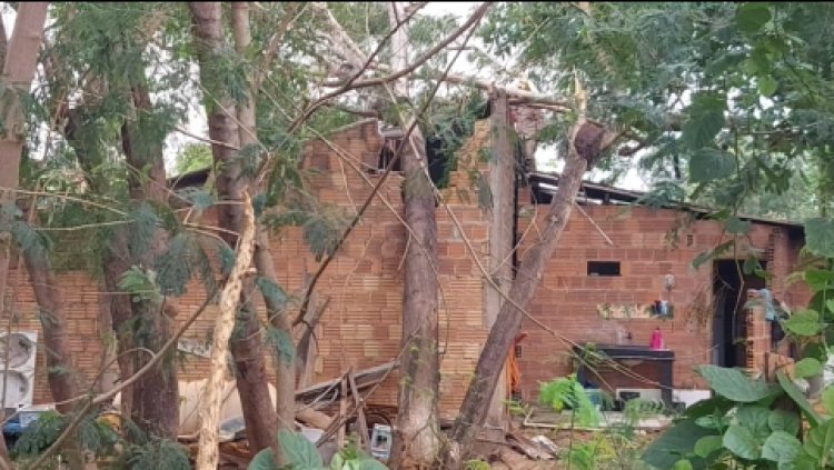 Fortes ventos derrubam árvore sobre casa em Pontes e Lacerda