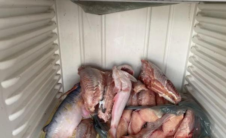 Pescadores são multados em R$ 17,9 mil por pesca predatória, em Cáceres