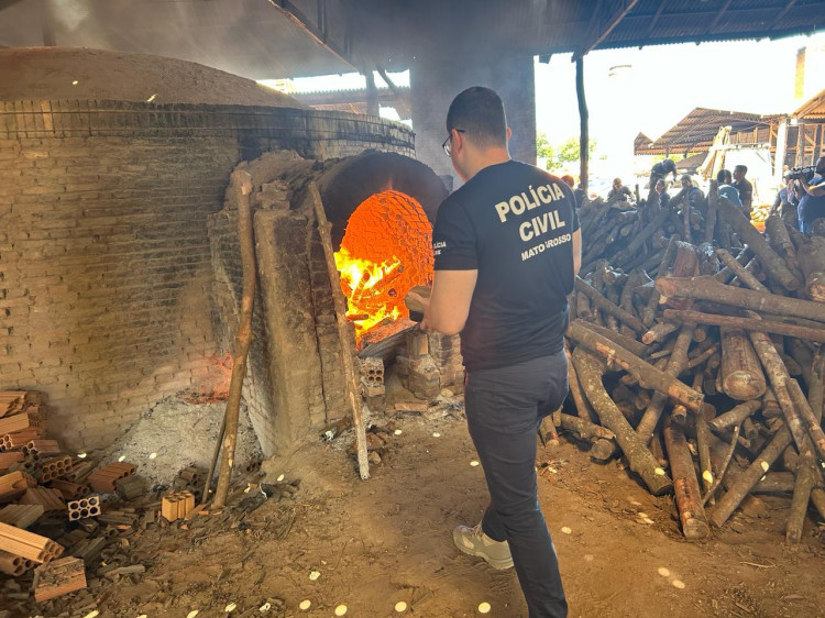 Polícia Civil incinera mais de 200 quilos de entorpecentes  em Pontes e Lacerda
