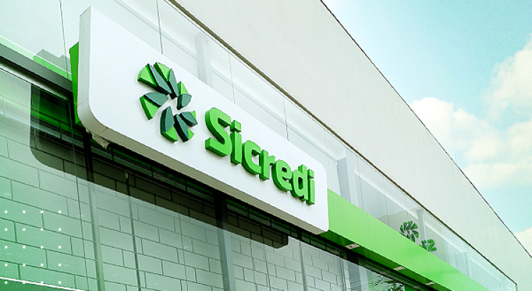 Sicredi Biomas abre edital do Fundo Social para inscrição de projetos de instituições e entidades sem fins lucrativos
