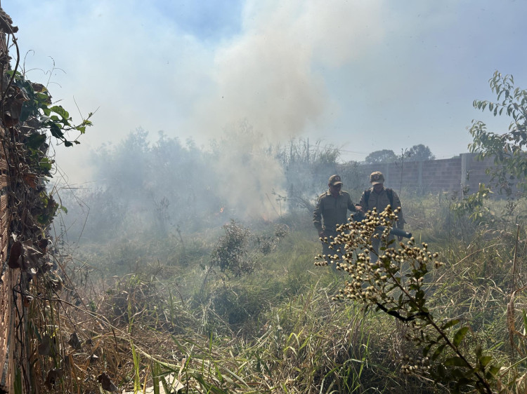 Incêndio em terreno mobiliza Corpo de Bombeiros