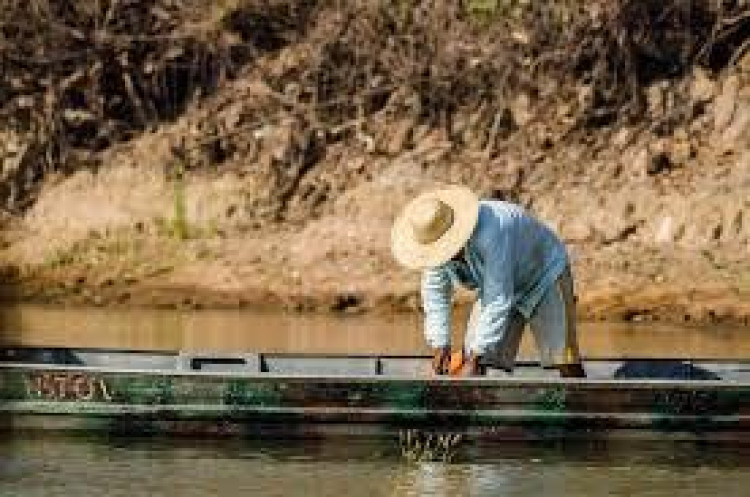 Deputados apresentam projeto para revogar lei que proíbe pesca comercial por 5 anos em MT