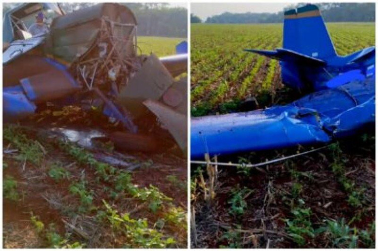 Avião agrícola cai durante aplicação de agrotóxicos em fazenda em Pontes e Lacerda