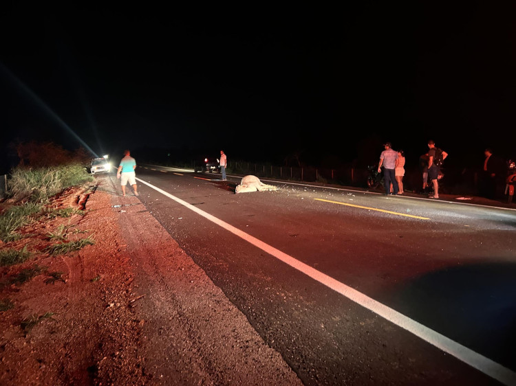 Motociclista fica ferido após bater em vaca na estrada do matão