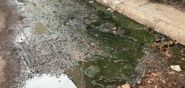 Esgoto a céu aberto no centro de Pontes e Lacerda causa mau cheiro e transtornos