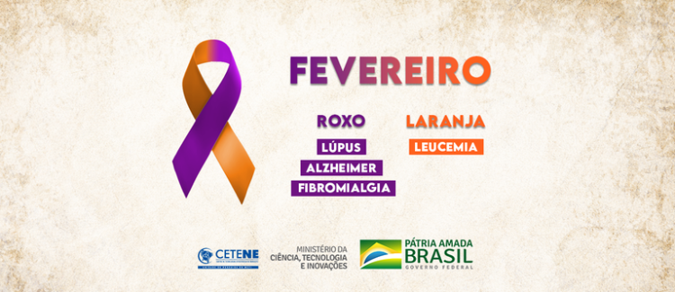 Campanha fevereiro roxo e laranja