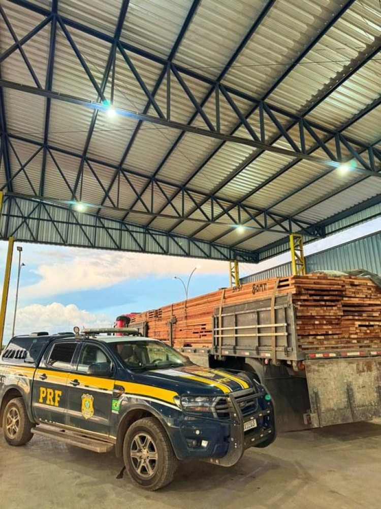 Madeira ilegal e anfetaminas  são aprendidos pela PRF em Comodoro