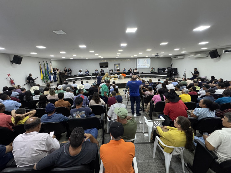Deputado Catanni debate produção leiteira na Câmara de Pontes e Lacerda