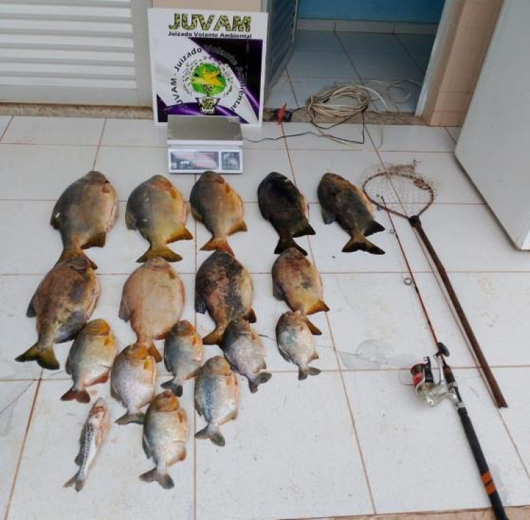 Ação do Juizado Volante Ambiental em Cáceres resulta em apreensão de pescado irregular
