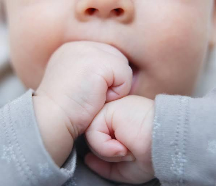 Avó sequestra neto de 9 meses por desentendimento com filha