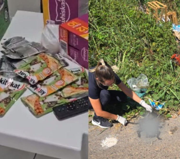 Desembargador cita 'crueldade e frieza' ao negar soltura a acusada de matar gatos