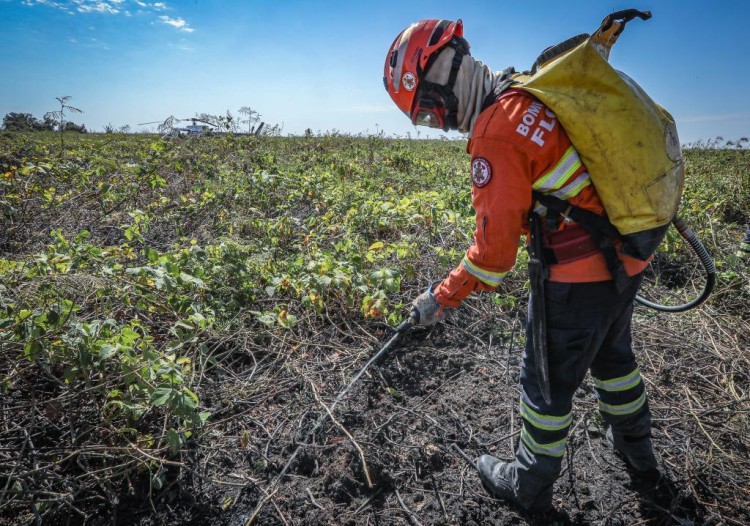 Corpo de Bombeiros combate 38 incêndios florestais, Vila Bela e Cáceres aparece na lista