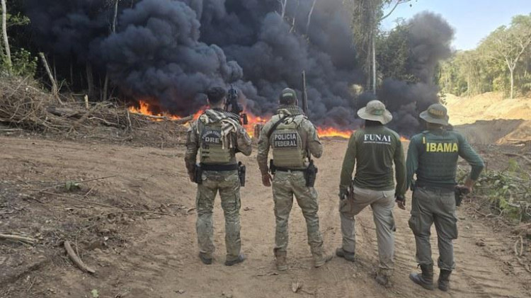 Terra Indígena Sararé: MPF apura extração ilegal e atuação criminosa e arsenal de armas
