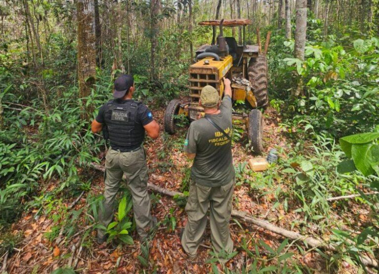 Polícia Civil e Ibama intensificam combate ao desmatamento e apreendem madeira ilegal em Comodoro