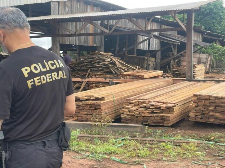 Polícia Federal deflagra Operação contra desmatamento em território indígena em Mato Grosso