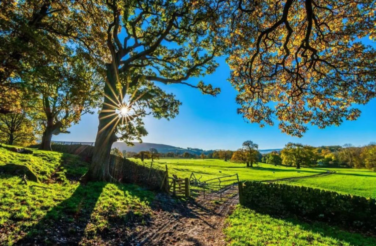 Regras ambientais entram de vez na conta do agronegócio em 2026