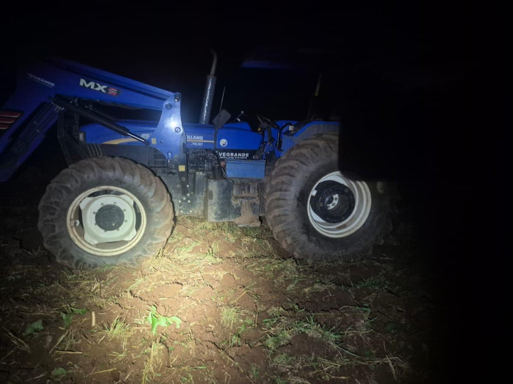 São Domingos: trabalhador rural morre após ataque de enxame de abelhas em propriedade