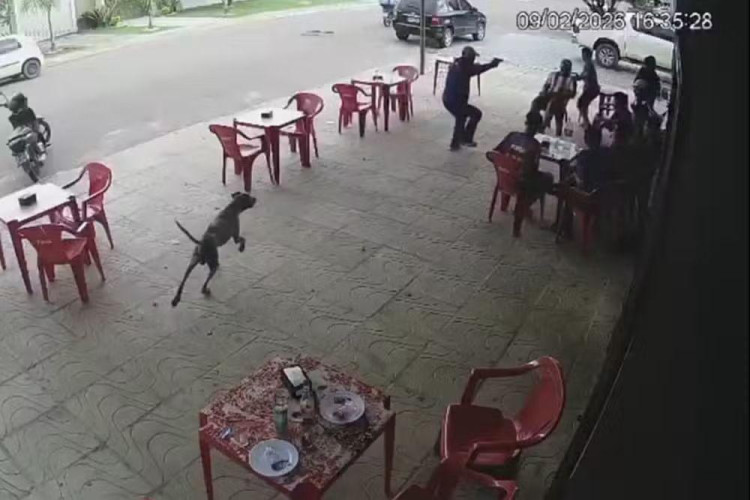 Jovem condenado pelo 