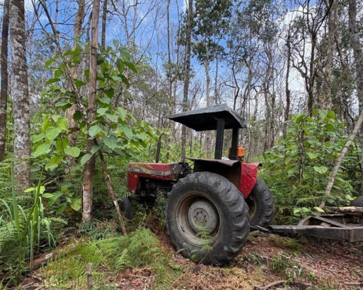 Policia Civil faz operação  contra desmatamento ilegal em terra indígena em Comodoro