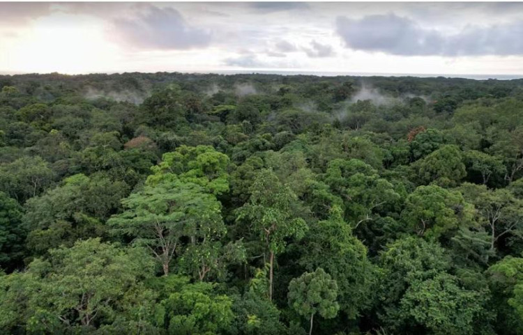 UIRAPURU: STF suspende demarcação de terra indígena em MT por falta de indenização a proprietários