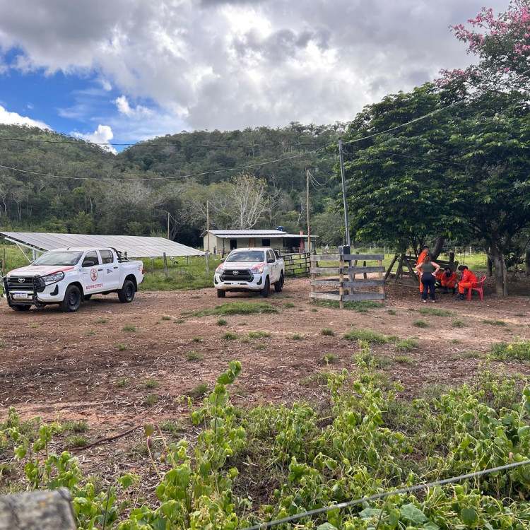 Mulher desaparecida na mata: buscas podem ter reforço de Cuiabá