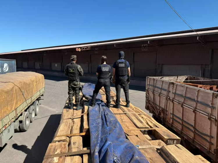 Operação Timber Shield revela esquema internacional e pode resultar na maior apreensão de cocaína do Brasil