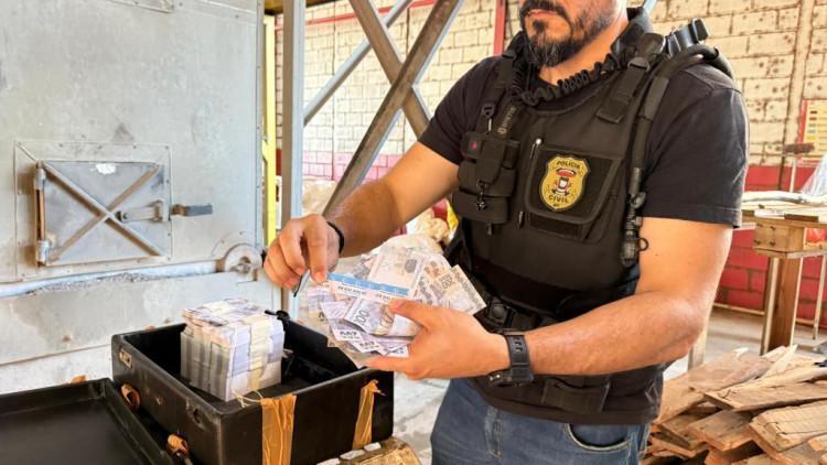 Mais de R$ 10 milhões em notas falsas usadas em golpe milionário são incineradas em MT