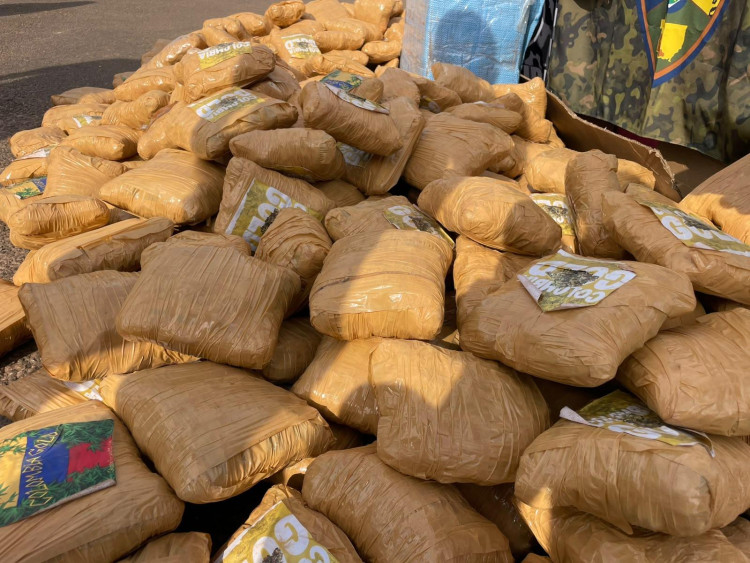 Cerco ao tráfico: quase 500kg de skunk avaliados em R$ 1 milhão são apreendidos em Pontes e Lacerda