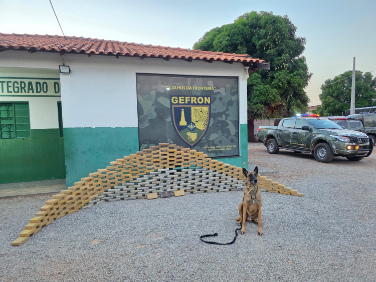 Droga avaliada em R$ 5,5 milhões recebida em Pontes e Lacerda é apreendida no Caramujo