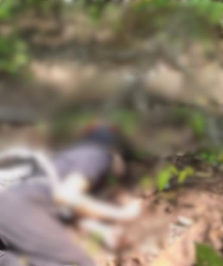 O que se sabe sobre o assassinato de kauã em Vila Bela?