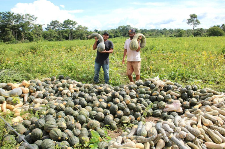 Agricultura familiar ajuda aquecer economia em Nova Lacerda