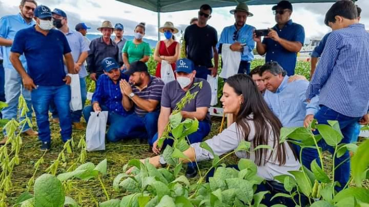 Agricultura sustentável : Cidade de Nova Lacerda recebe projeto dia de campo