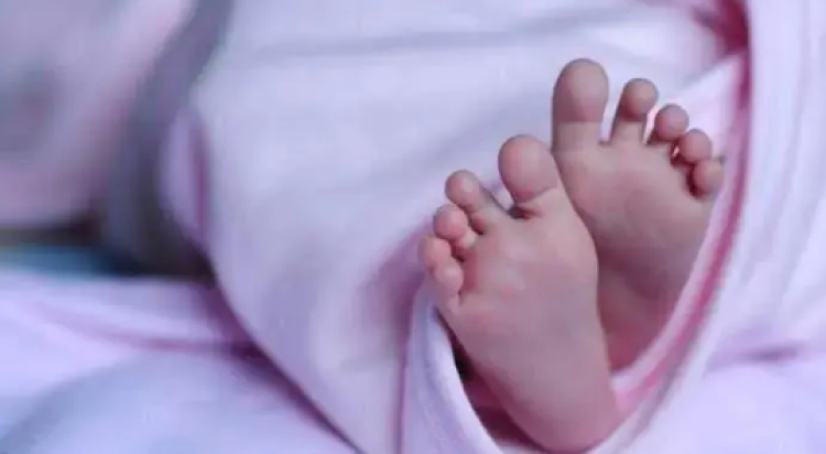 Bebê de seis meses chegou ao hospital com lesões nos órgãos genitais, diz nota da direção