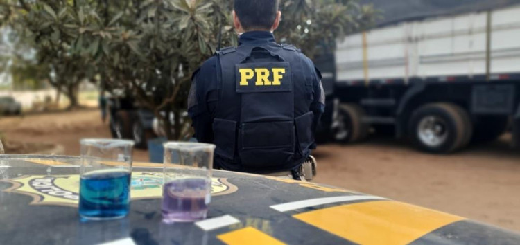 CAAPORA III: PRF apreende mais de 800 m³ de madeira ilegal