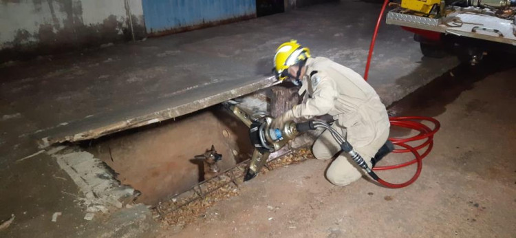 Cachorro é resgatado de boca de lobo pela Guarnição do Corpo de Bombeiros em Pontes e Lacerda