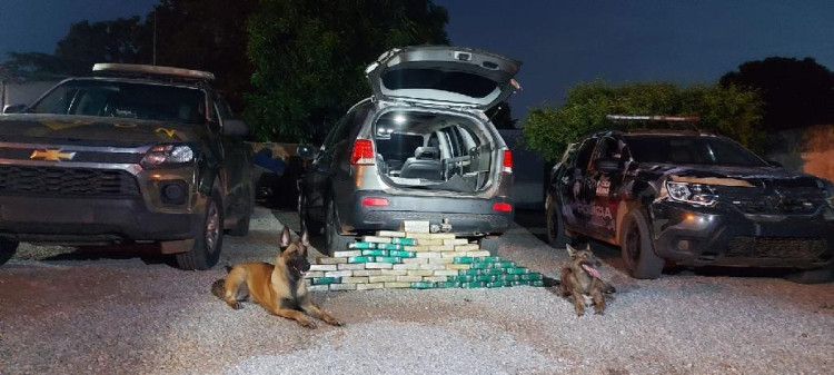 Cães farejadores encontram cocaína em “Mocó ” de carro na cidade de Cáceres