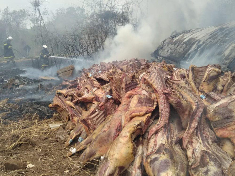 Carreta que transportava carne tomba e carga é saqueada em Cáceres